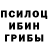 Псилоцибиновые грибы Cubensis natt. s