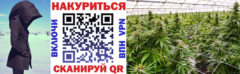 сколько стоит  Жигулёвск  Марихуана конопля 